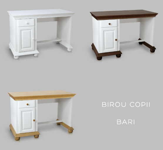 birouri copii