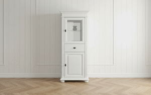 vitrina cu usa sticla