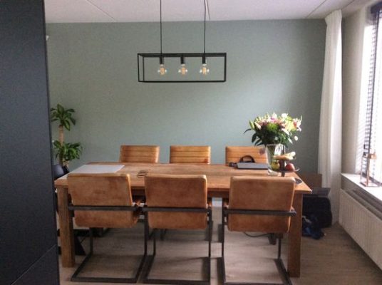 scaun metalic pentru living