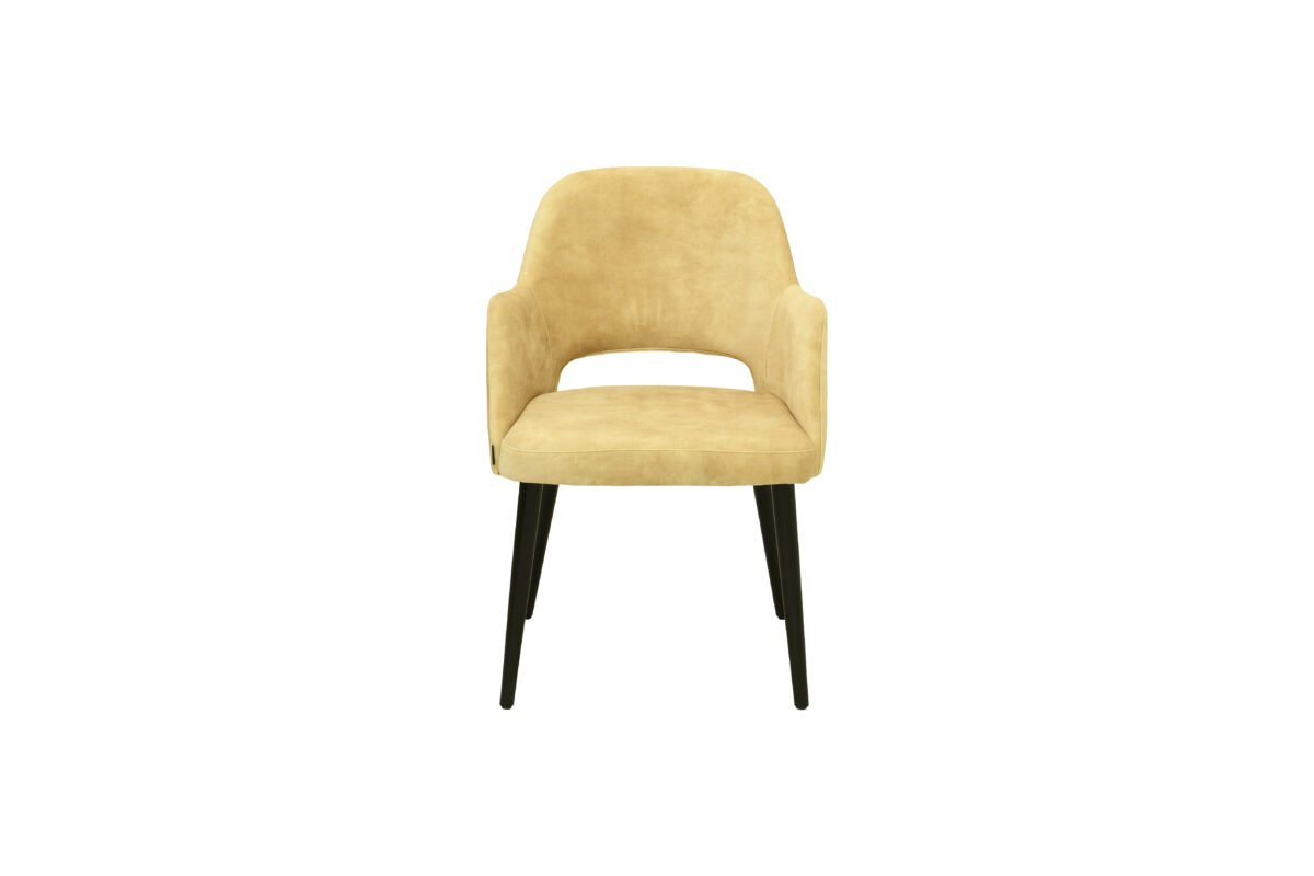 scaun pentru living