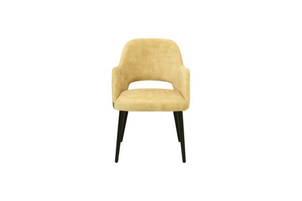 scaun pentru living